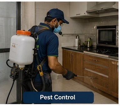 Pest Control